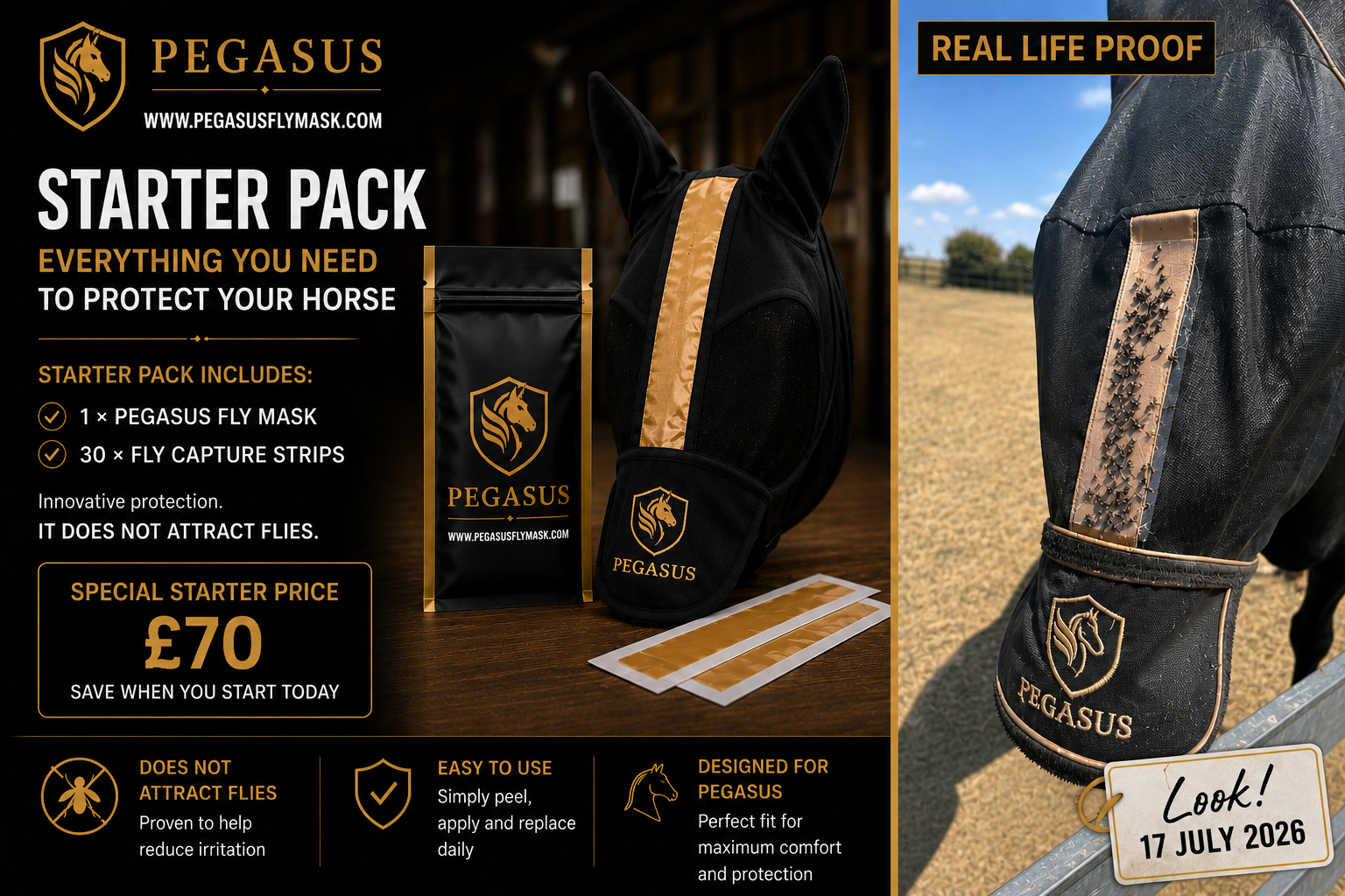 Pegasus Fly Mask Starter Pack