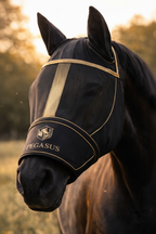 Brown horse with Pegasus mask